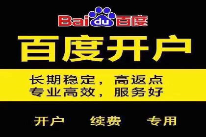 竞价广告的智能投放：XX平台的创新实践